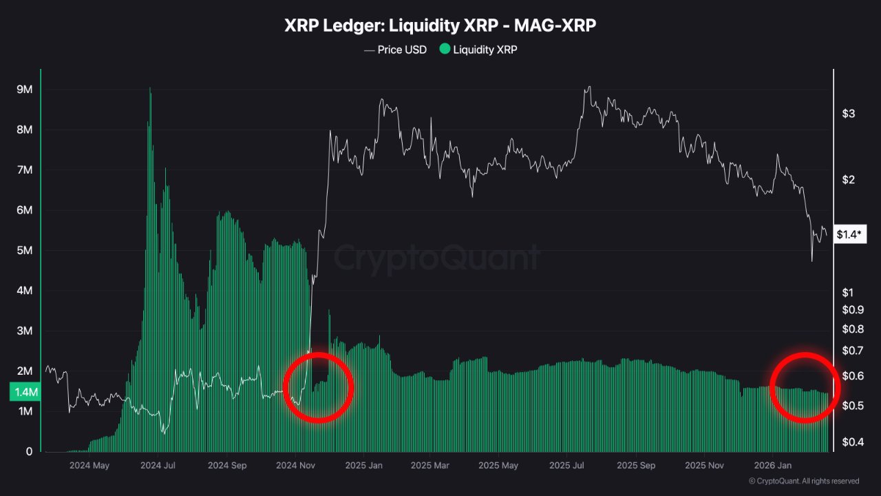 XRP Liquidity in XRPL AMMs CryptoQuant