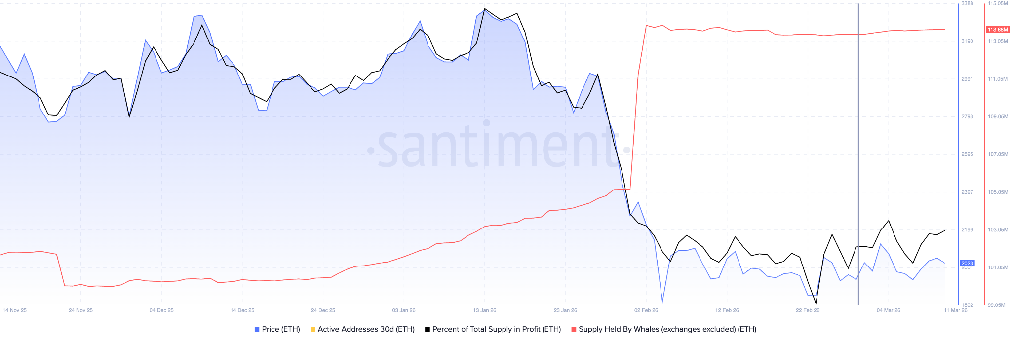 supply held by eth whales